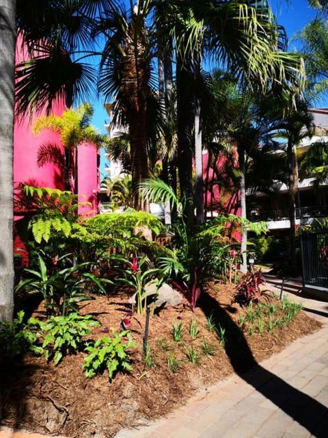 Enderley Gardens Resort Gold Coast Extérieur photo